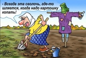 В стиле Фишек: промежуточные итоги дачного сезона 2022 года