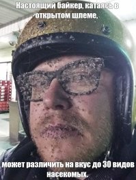 Эти картинки напомнят вам, зачем нужно носить шлем