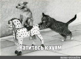 Группа "Би-2" перенесла свои концерты из России в  Центральную Азию