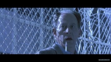 Очередное доказательство того, что коты - это жидкость