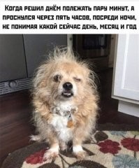 Йожика картинки. Выпуск 180