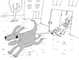 Коротко о размерах ирландских волкодавов