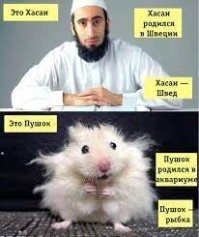 “Майор Попский и его личная армия”: как эмигрант из России бил немцев в Африке