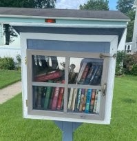 Книги на улице очень быстро отсыреют и начнут покрываться плесенью, гнить и будут заселены насекомыми. Если у вас лишние книги, которые жалко выбросить - можно просто отдать их в местную библиотеку.
А  хранить литературу в скворечнике на улице - прямой способ уничтожить её.