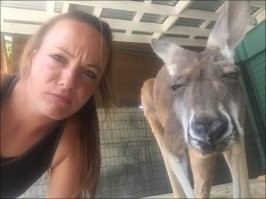 Кенгуряка-подозревака: