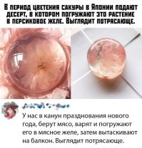 Холодец - наше всё!