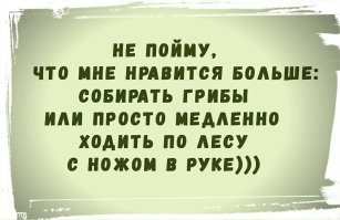 Скрины из соцсетей