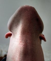 Богини фотошопа: не дай бог назначить им свидание вживую!