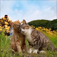 На позитиве