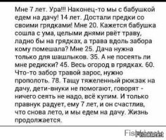 В стиле Фишек: промежуточные итоги дачного сезона 2022 года