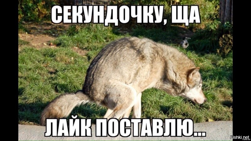 Автобиографическая поэма