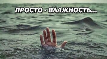Скрины из соцсетей