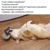 И еще...))
-Прохожие в ужасе от происходящего: идет мальчик с шавкой на привязи за милиционером и что-то говорит. А милиционер- на мальчика: " - Иди на х.у.й. отсюда, чтобы я тебя больше не видел!" Прохожие заступаются за мальчика: " - Молодой человек, как Вам не стыдно так выражаться, это же маленький мальчик, а вы служивый!" А милиционер, в оправдание: " - Вы, конечно, извините, но этот мальчик уже достал. Целую неделю за мной ходит, просит, чтобы я его собаку трахнул - ему, видите ли, служебная собака нужна"...-