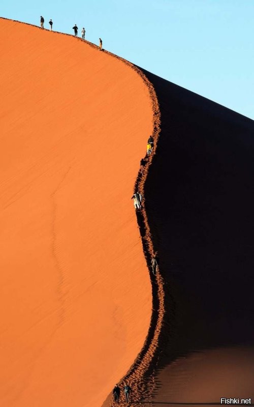 Пустыня Намиб в Намибии. Песок сюда несёт со стороны океана. Песку 5 миллионов лет. Из-за особенных ветров дюны здесь выше, чем где-либо, самая высокая - 388 метров. Оксид железа в песке придаёт ему красный оттенок.
