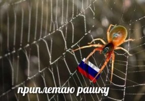 14 вещей, которые удивили туристов в Париже