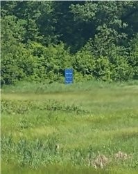 Безумно редкие моменты, стать свидетелем которых можно лишь по чистой случайности