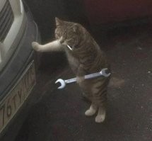 "Развели тут розовые сопли - лапки-херапки!... Петрович, дай накидной 15х17"