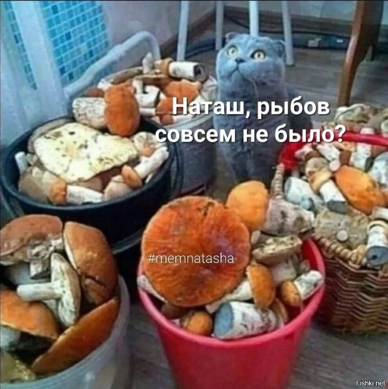 Намешалось