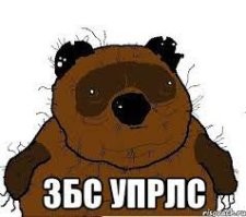 В Турции спасли медведя, опьяненного галлюциногенным мёдом