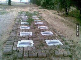 Вот уровень доверия