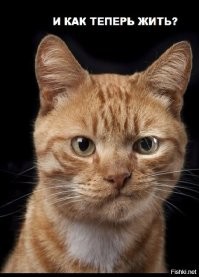 Шершень отрезал себе кусок колбасы