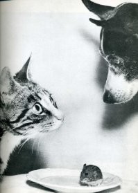 Может и "LIFE", я их вечно путаю.