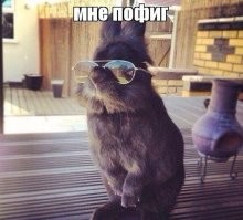 Пофигизм — лучшее лекарство в борьбе с суровой реальностью