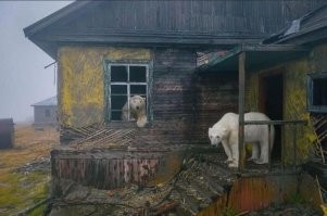 - Маша! Глянь там - кого черти принесли?
- Миша! Это новая партия зимовщиков. Вот незадача то: у нас ещё прошлая партия не вся съедена