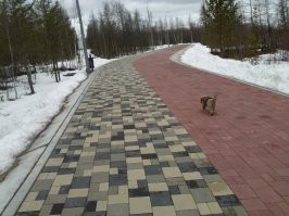 Охрентельно крупный город Тарко-Сале... На последнем фото, на зажнем плане - дом престарелых.

А если покопалься, то не то, что в каждой стране, городе, районе, он и в каждой квартире есть место, где бардак.