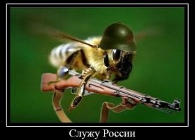 Канадский политик случайно  проглотил пчелу во время выступления