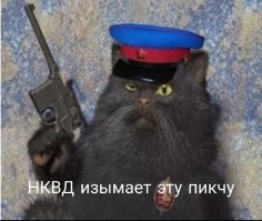 Канадский политик случайно  проглотил пчелу во время выступления