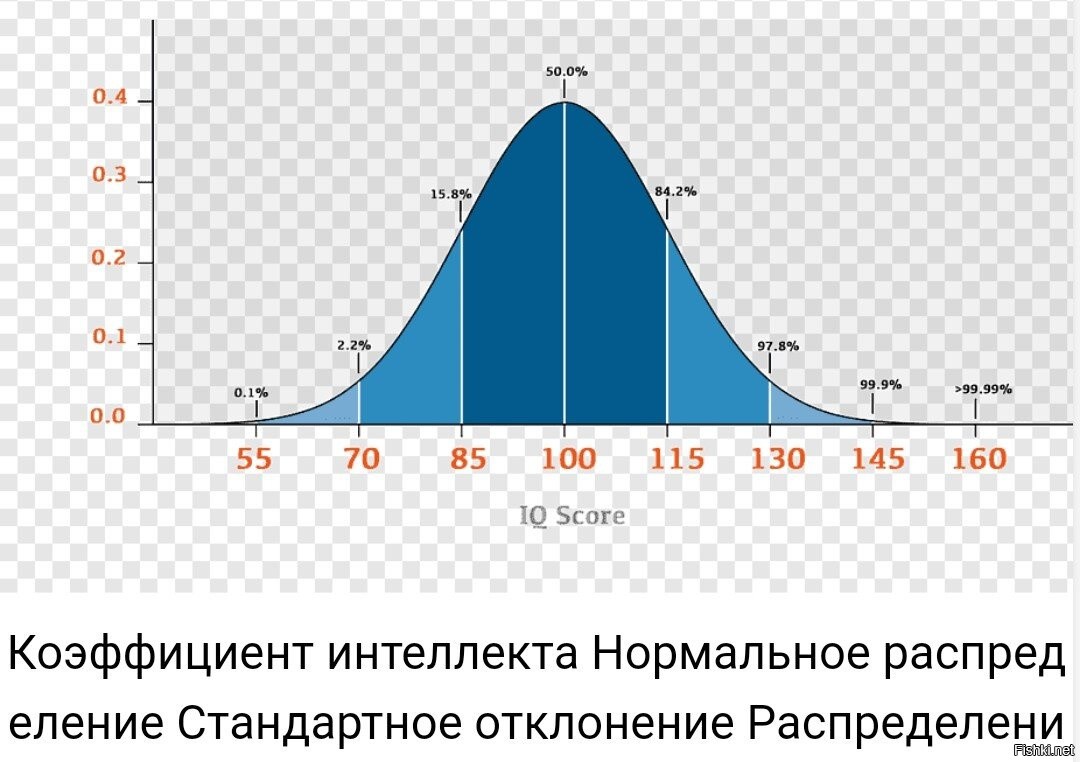 Iq населения