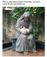 Несколько случаев, когда котики стали украшением статуй