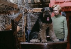 А как же эти?