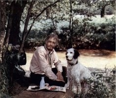 А как же эти?