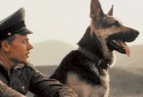 А как же эти?