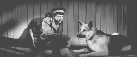 А как же эти?