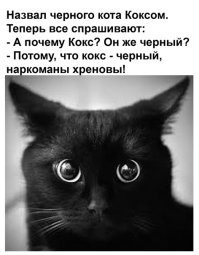 Больные люди, думают что шприцами можно только наркоту колоть