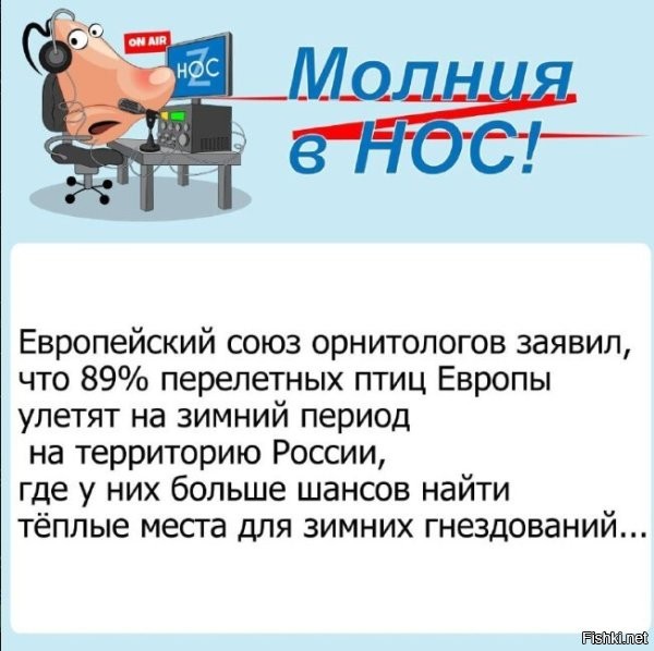 Даже птицы умнее некоторых!!!