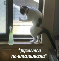 Коротко о любви итальянцев к жестикуляции