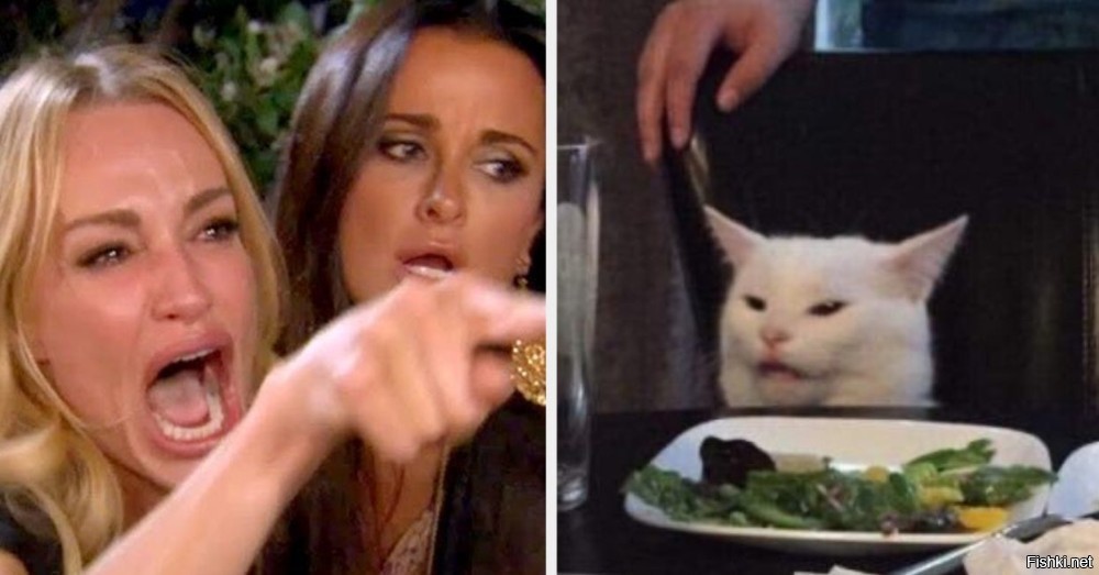 Мем с котом и женщиной