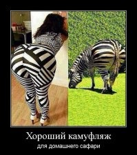 Мастера скрытности и камуфляжа