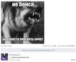 Йожика картинки. Выпуск 188