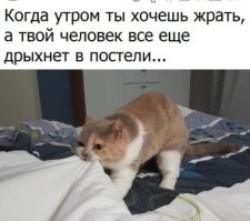 скромничают