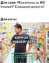 1000 рублей хватает чтобы прокормить месяц двух котов профессиональным кормом. Обычная еда обходится значительно дороже... Из собственного опыта говорю...