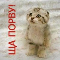 Йожика картинки. Выпуск 189