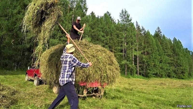 чуть не забыл про веганов/вегитарианцев..
пусть только слюной не захлебнутся