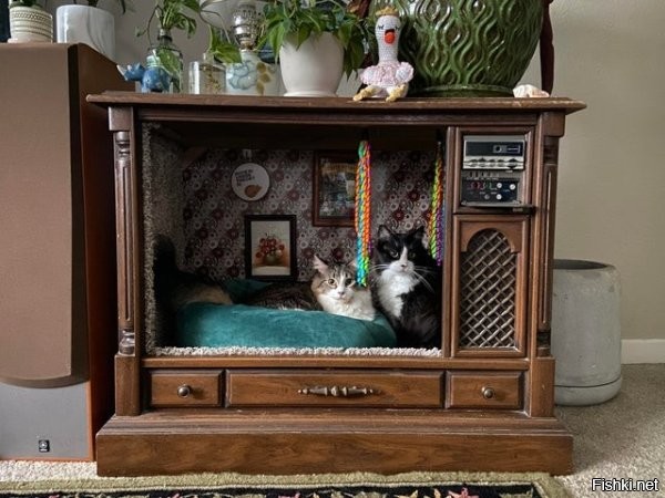 Этот телевизор даже нерабочий стократно более ценен, чем кошачья будка.



Это не войлочные, а шитые игрушки.



Здесь "реставратор" из старых часов сделал попугайский ящик, вдобавок заменив старый механизм на китайский ширпотреб.