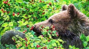 "Нагулять жир к холодам" - вот это правильно.