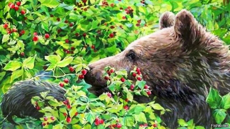 "Нагулять жир к холодам" - вот это правильно.